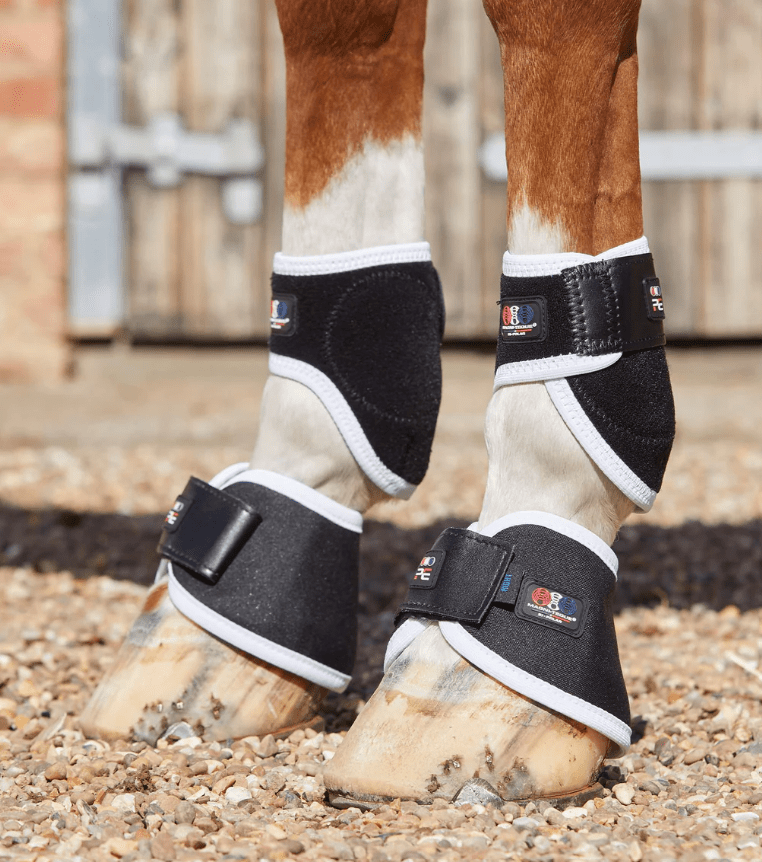 Premier equine magnetic fetlock boots deals